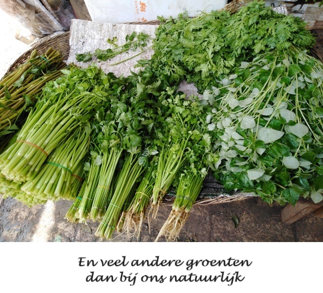 Cambodja