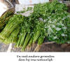 Cambodja,