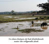 Cambodja,
