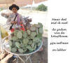Cambodja,