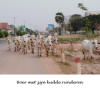 Cambodja,