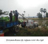 Cambodja,