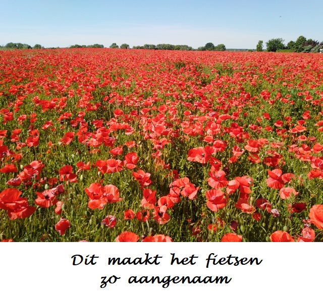 Oost-Duitsland