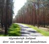 Fietsen door het woud