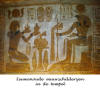 Egyte,