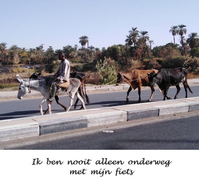 Egypte