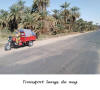 Egyte,
