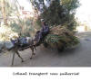 Egyte,