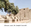 Egyte,