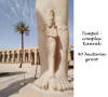 Egyte,