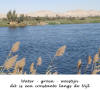 Egyte,