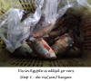 Egyte,