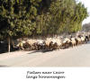 Egyte,