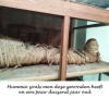 Egyte,
