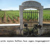 Bourgogne, grote wijnen