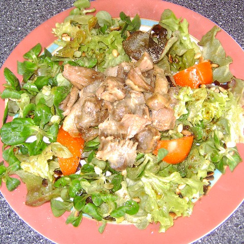 Salade Perigordine