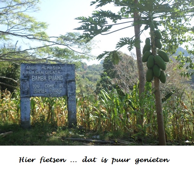 Indonesie : 
