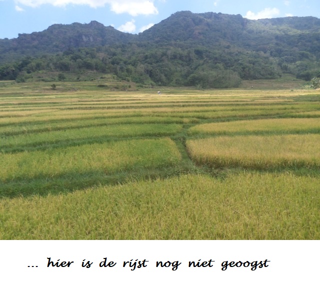 Indonesie : 