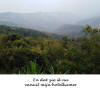 Laos,