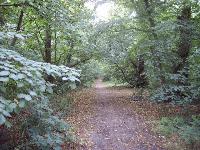 Astene Dreef in het stadsbos van Deinze