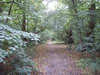 Astene Dreef in het stadsbos van Deinze