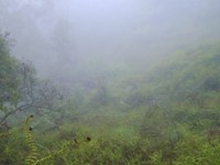 Australie, Blue Mountains