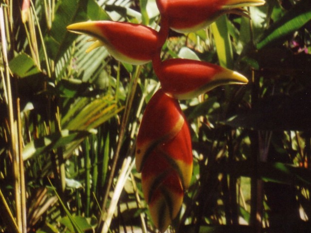 Costa Rica