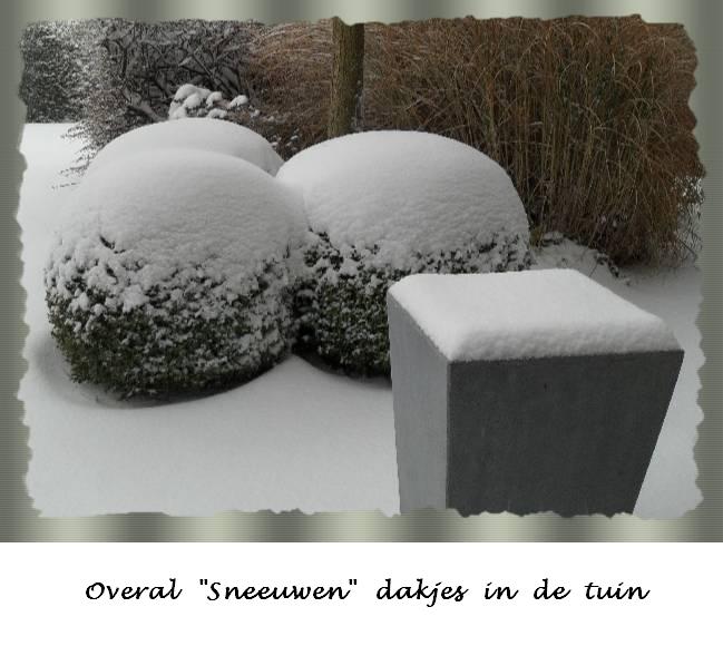 Sneeuwen dakjes op de planten