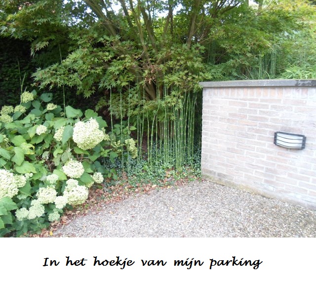 Mijn parking