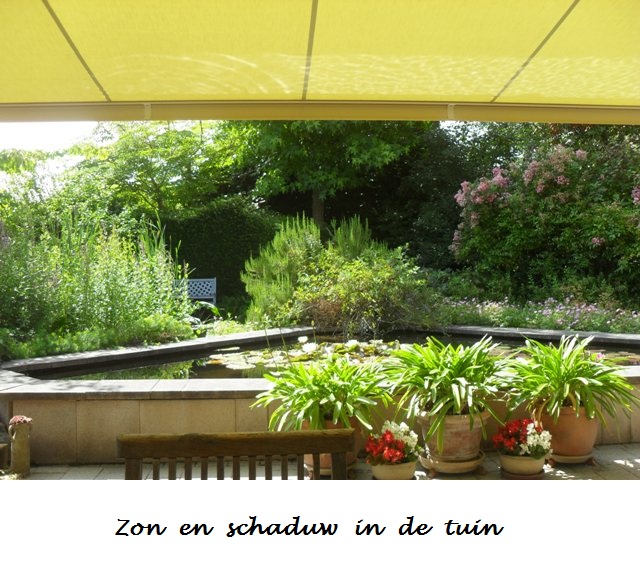 Zon en Schaduw