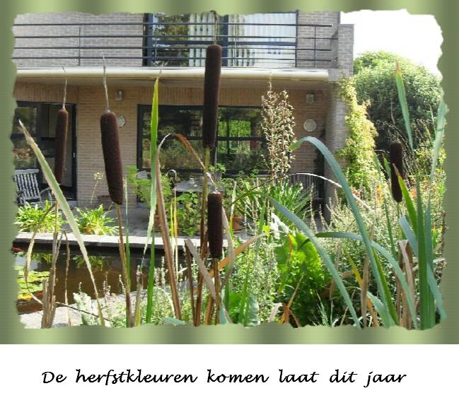 Herfst in de tuin