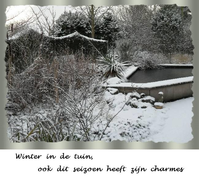 Winter, tuin met sneeuw