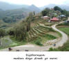 Vietnam,