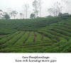 Vietnam,