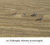 Blauwe Kraanvogel