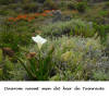 De Tuinroute