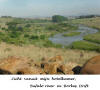 Bufalo rivier