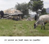 Wonen in Lesotho