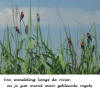 Wandeling langs rivier