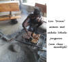 Braai - Zuid-Afrika