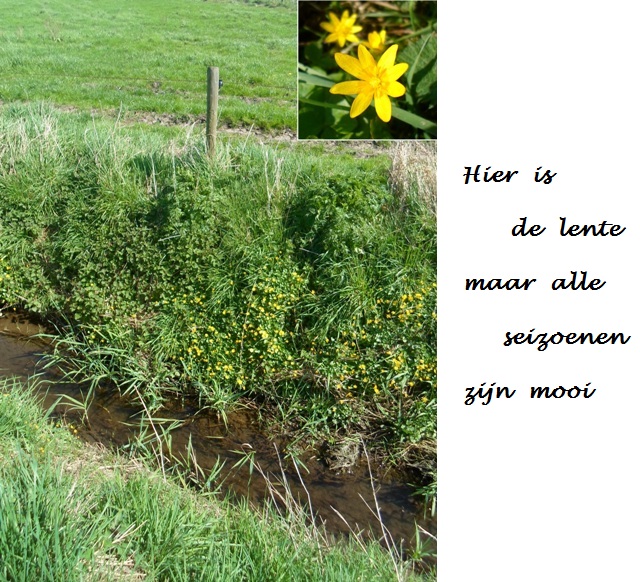 Lente te lande