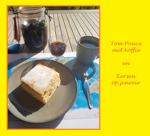 Thuis koken