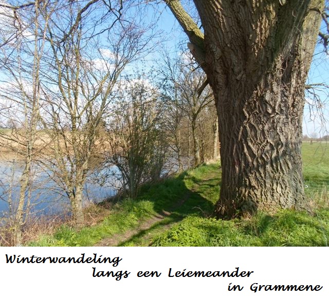 Stad Deinze / Grammene