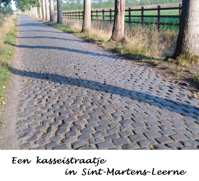 Stad Deinze / Kasseien