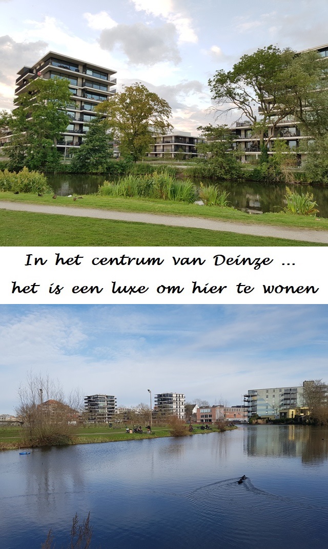 Foto van de maand in DEINZE