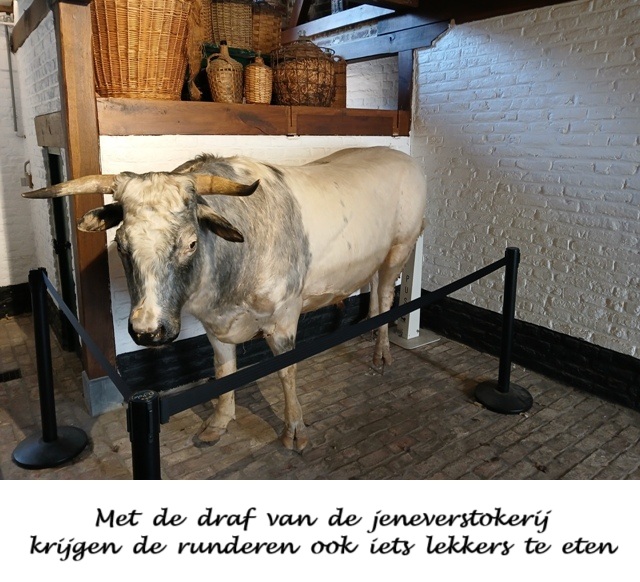 Hasselt