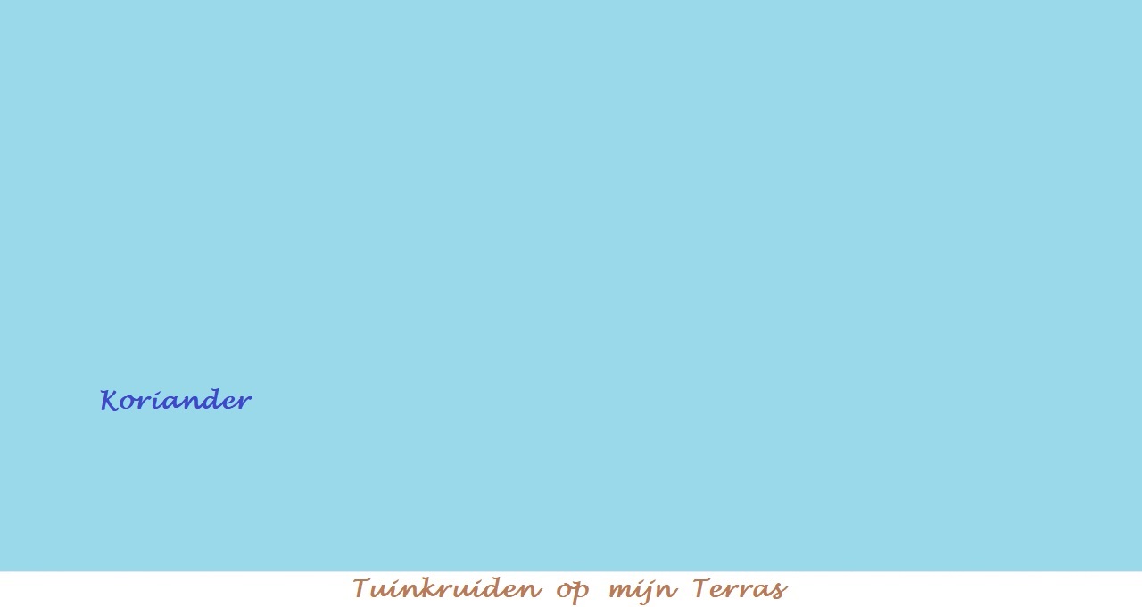 Menu in foto's
