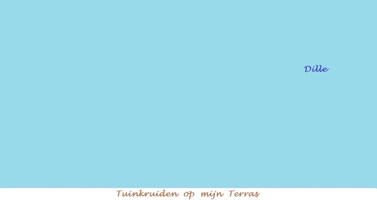 Menu in foto's