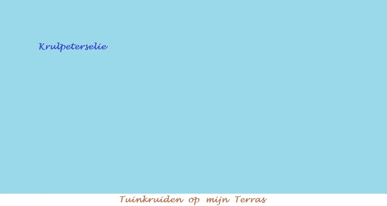 Menu in foto's