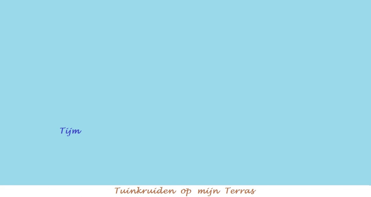 Menu in foto's